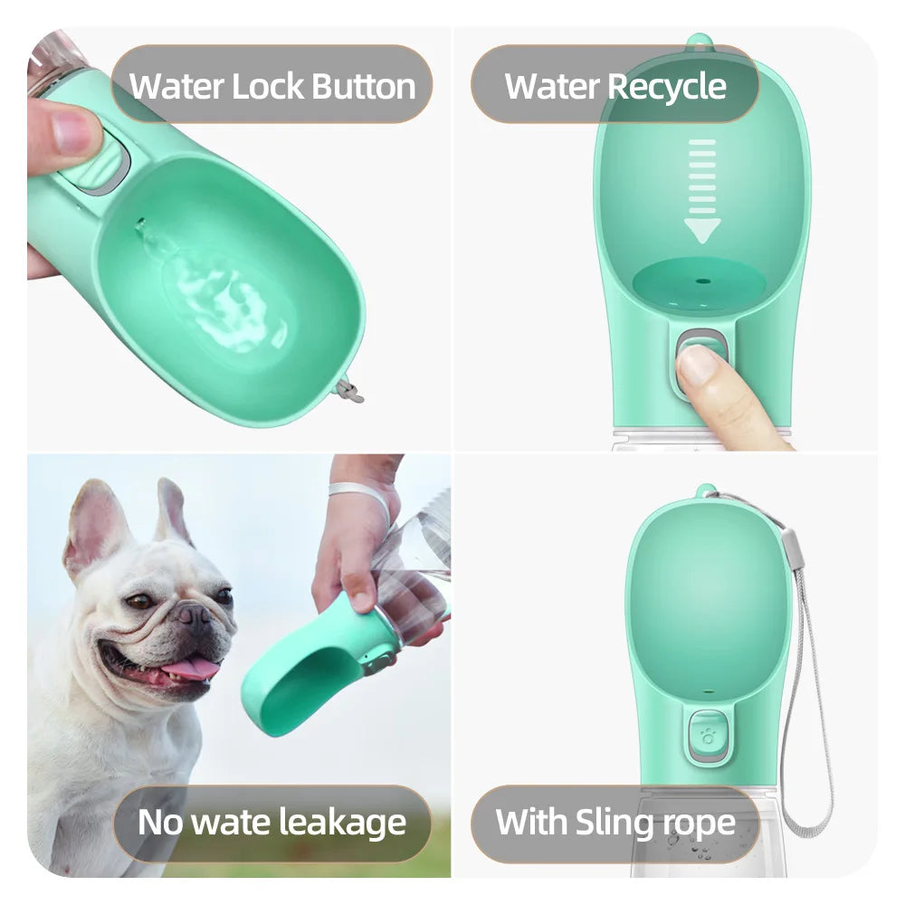 bouteille d'eau pour chien